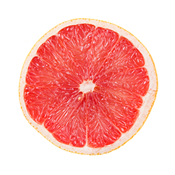 https://zest.rs/wp-content/uploads/2017/05/orange-1.png