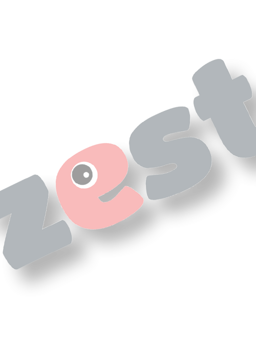 https://zest.rs/wp-content/uploads/2024/09/zest-ukusi-mlecni-500x700-1.png